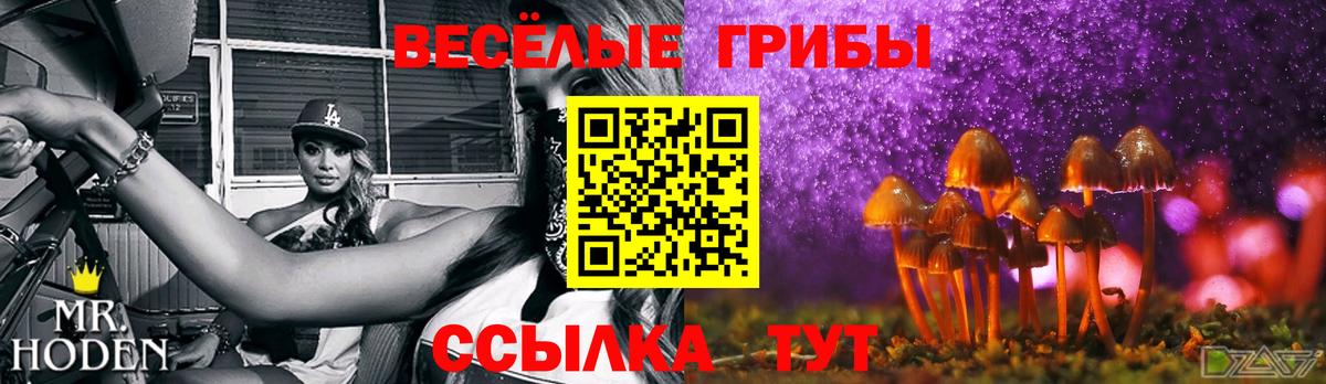 Советский  Псилоцибиновые грибы Psilocybe  Вход с VPN 